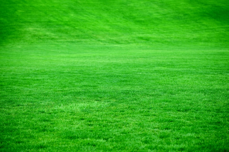 Home Photo 1526392587392 D1627b6c134a 1