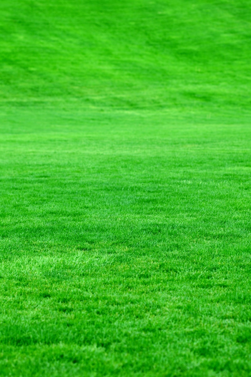 Home Photo 1526392587392 D1627b6c134a 2
