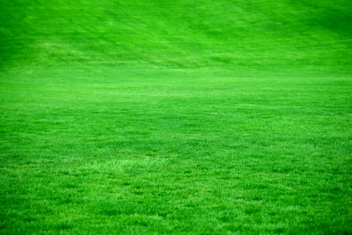 Home Photo 1526392587392 D1627b6c134a 3
